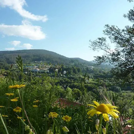 Quinta Labruja Labrujo