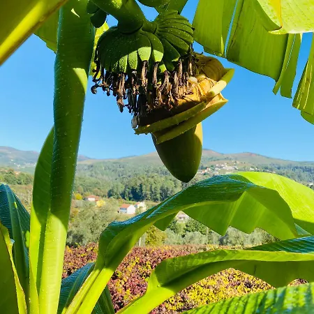 Bed & Breakfast Quinta Labruja 3*