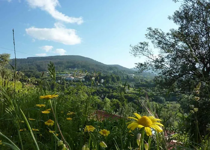 Quinta Labruja Labrujo