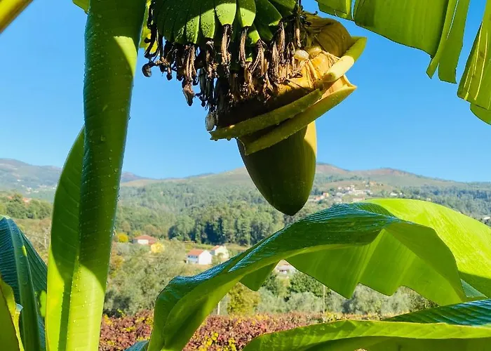 Bed & Breakfast Quinta Labruja 3*