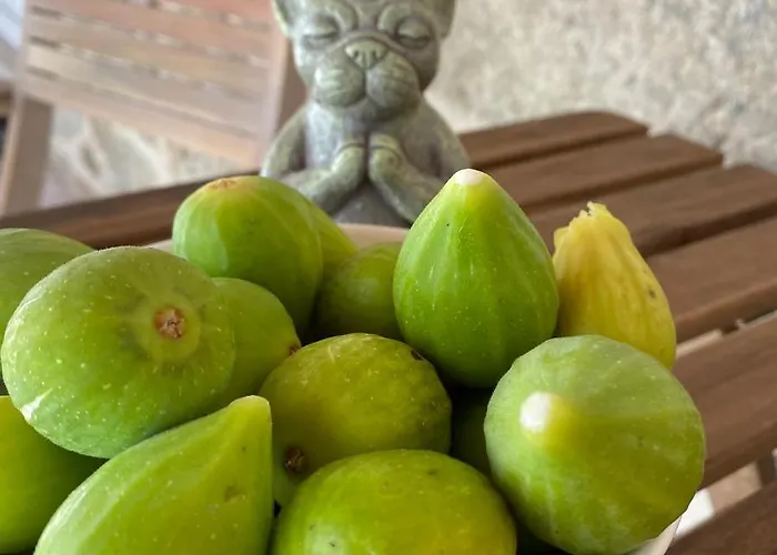 Bed & Breakfast Quinta Labruja