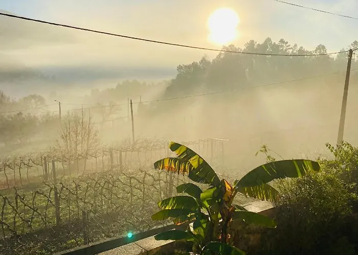 Bed & Breakfast Quinta Labruja 3*