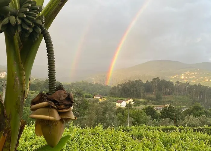 Bed & Breakfast Quinta Labruja