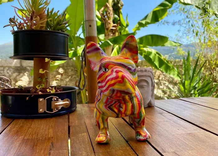 Quinta Labruja Bed & Breakfast