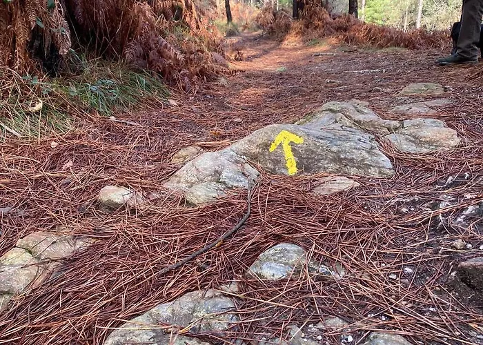 Quinta Labruja Bed & Breakfast